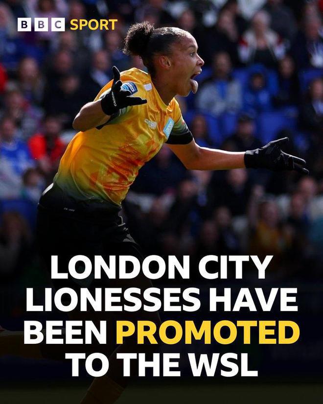 全明星級球 全明星級球