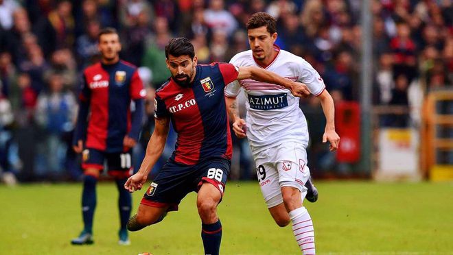 的综合格斗 的综合格斗