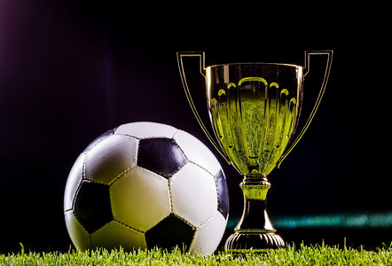 机动护筐型 机动护筐型