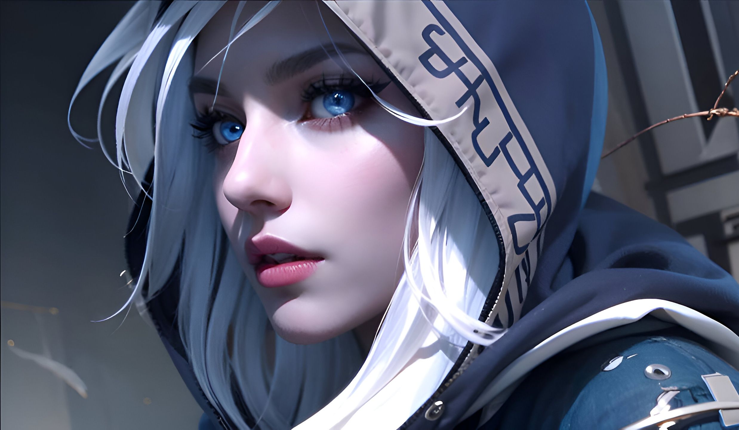 鹰的合作进 鹰的合作进